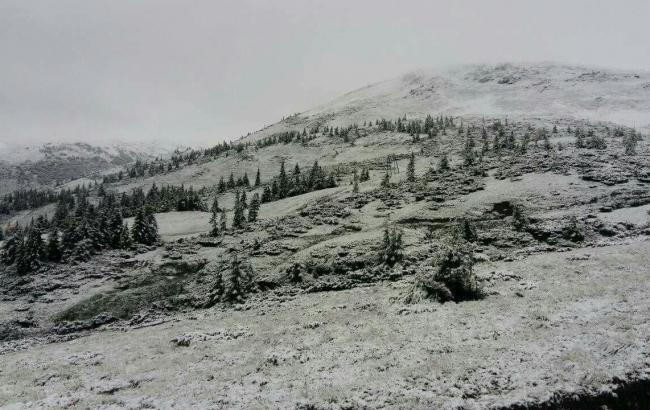 Из-за снега в Карпатах за сопровождением к спасателям обратились 35 туристов, - ГСЧС