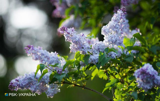 Дожди отошли и потеплело: прогноз погоды на сегодня