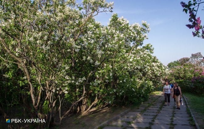 Климатологи зафиксировали приход в Киев метеорологического лета