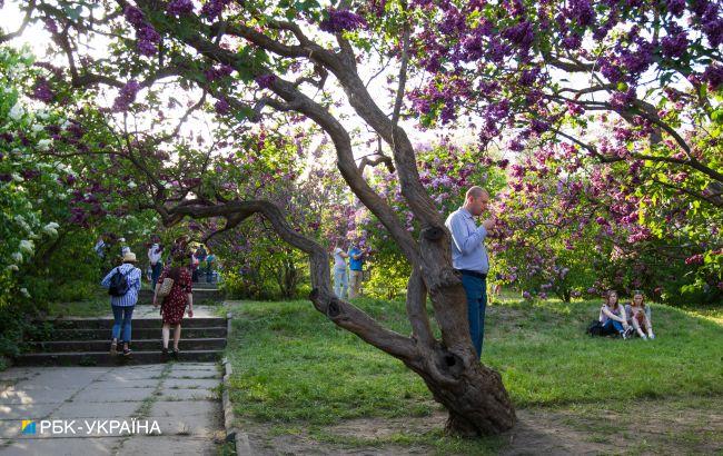 Потеплеет и отойдут дожди: прогноз погоды на сегодня
