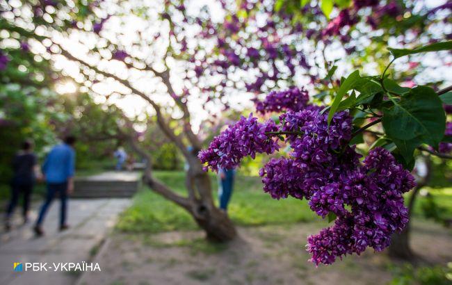 Дожди с грозами и до +25: прогноз погоды на Пасху
