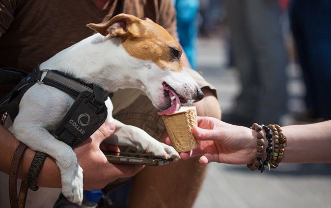 Синоптик рассказала, когда в Киеве будет +18