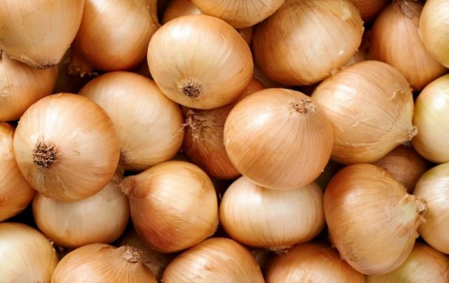 Украина стала экспортировать лук в Европу. Что будет с ценами на овощ