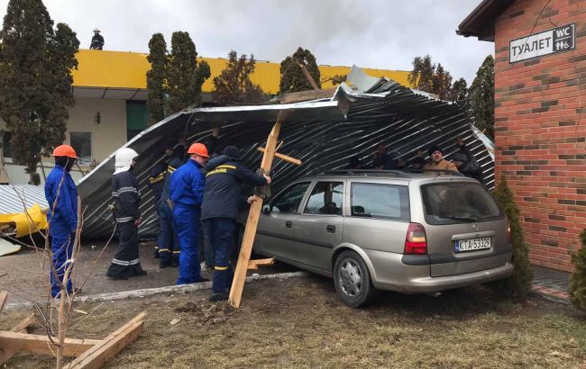 В Херсоне дерево упало на ребенка