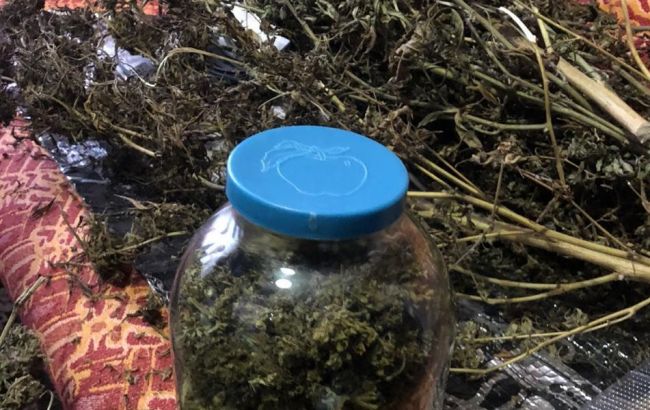 В Киевской области мужчина дома вырастил конопли почти на 1 млн гривен