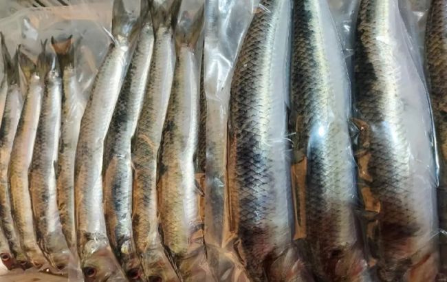 Цей оселедець нізащо не можна купувати в магазині навіть зі знижкою