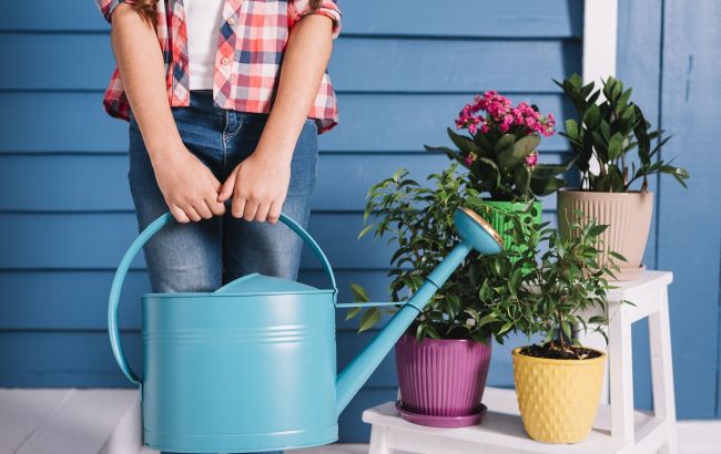 Їдете у відпустку, а квіти нема кому поливати? Цей перевірений метод стане вашим порятунком