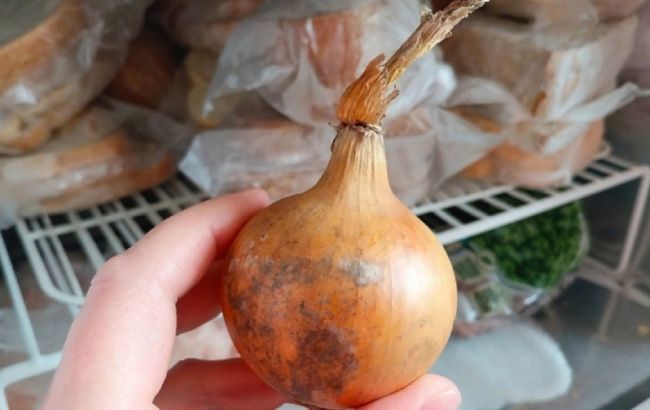 Цей способ допоможе завжди різати цибулю без сліз