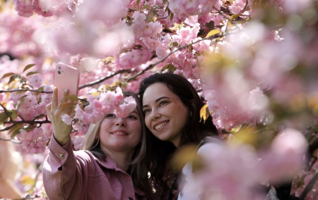 Успейте на сакуры: как доехать до Ужгорода и Мукачево, где искать самые красивые локации
