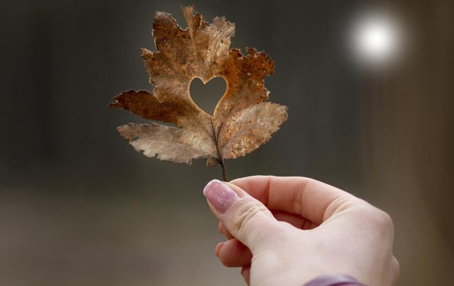 Только эти знаки Зодиака получат от Вселенной особое послание. Ждите хорошие новости