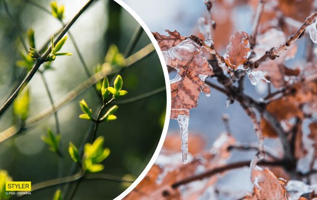 В Україну йде аномальне потепління: синоптик назвав дату