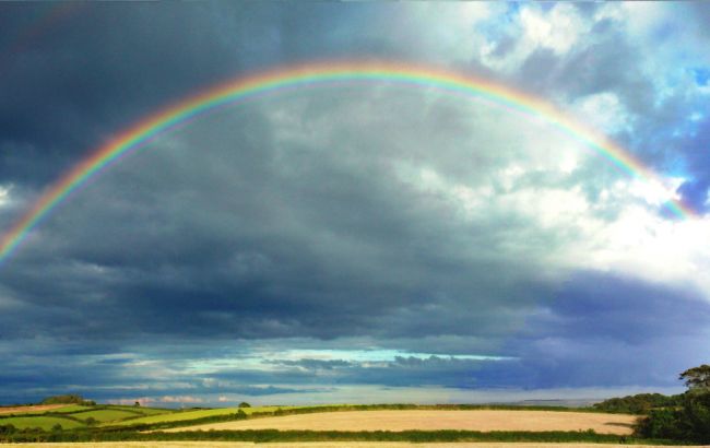 В Днепре месячный осадок выпал за 15 минут: в сети показали последствия непогоды