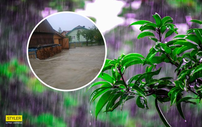 Из-за сильных ливней село на Прикарпатье ушло под воду (фото и видео)