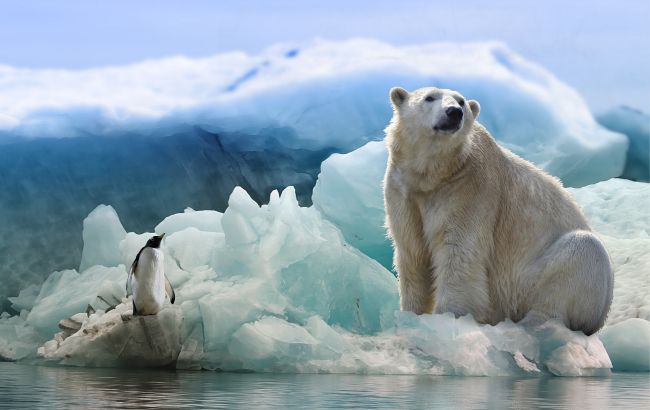 В NASA сделали заявление о глобальном потеплении: ученые советуют готовиться к худшему