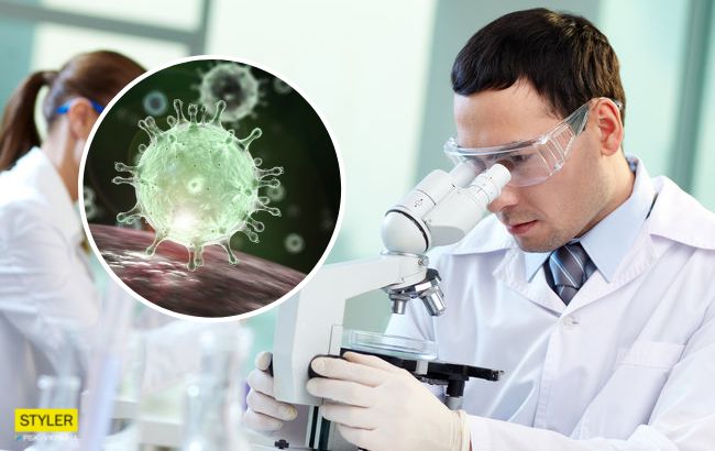 В Украине вспышка Африканской чумы: что известно, и кто в группе риска