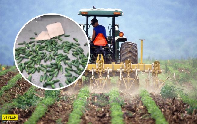 Через карантин в Україні масово протестують фермери: названі вимоги