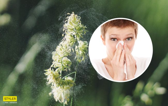 Украинцы страдают от опасного растения: как распознать и удалить с участка