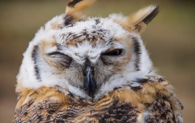 В Києві з 7 жовтня очікується значне похолодання