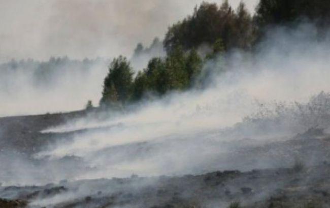 У Київській обл. рятувальники продовжують гасити 55 га торфовищ