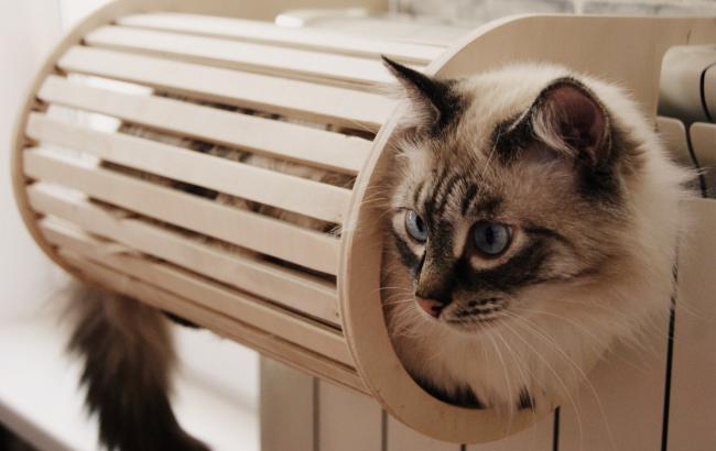 В Крыму без тепла остаются 213 домов