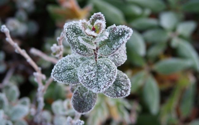 В Украине ожидается снижение температуры до -5