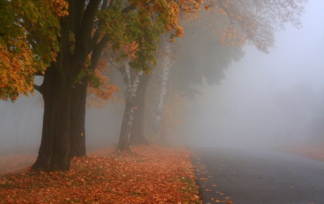 Правоохранители предупреждают киевлян о тумане