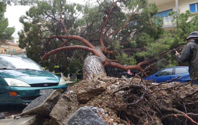 Количество жертв наводнений в Италии увеличилось до 30 человек