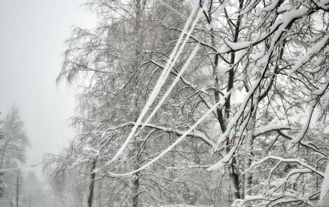 В Украине из-за непогоды обесточены 10 населенных пунктов