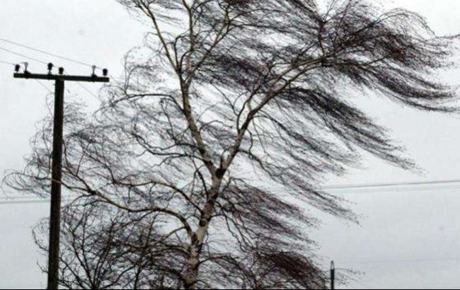В Украине объявлено штормовое предупреждение
