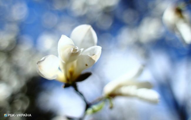 Синоптики рассказали о погоде на завтра