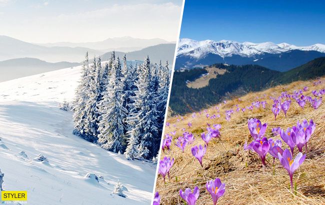 Майские Карпаты: в сети показали потрясающие фото заснеженных склонов