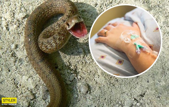 Под Львовом змея снова "отправила" женщину в больницу: спасатели обратились к украинцам