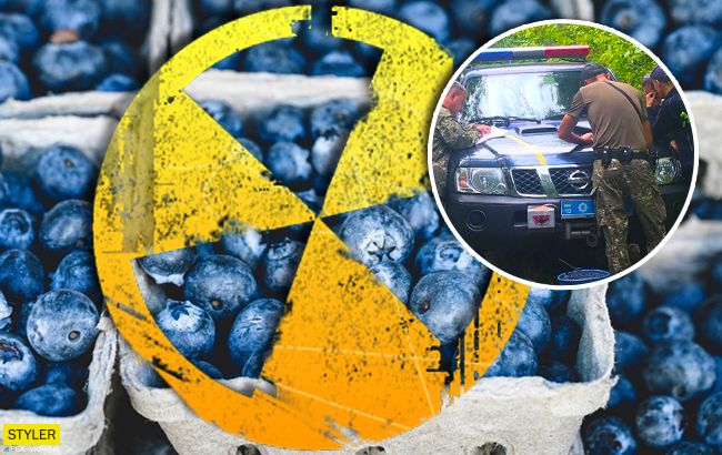 В Чернобыле снова собирают радиоактивную чернику: все подробности