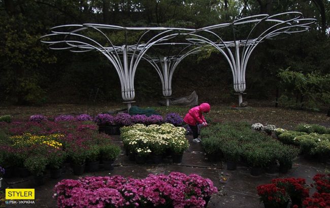 Синоптики розповіли, коли в Україні суттєво похолодає