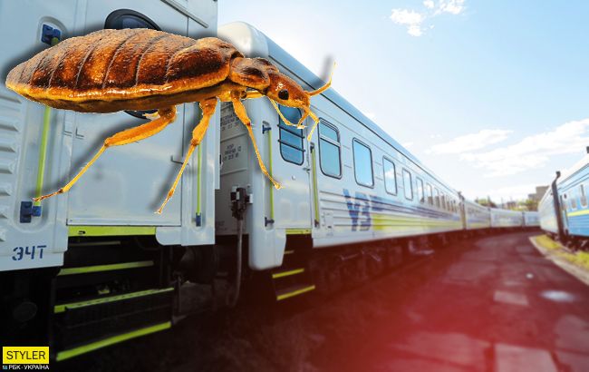 Люкс с клопами за 2 тысячи гривен: Укрзализныця&nbsp;угодила в очередной скандал (фото)&nbsp;