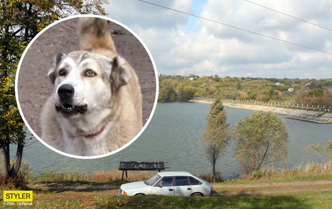 Під Черкасами господар собак 6 років тримає в страху все село