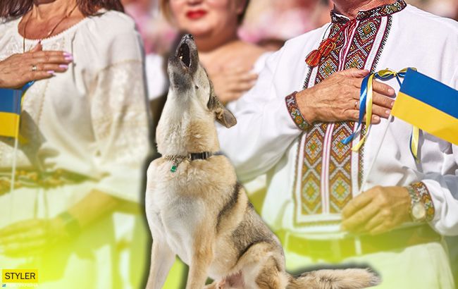 Пес-патріот заспівав під гімн України і підкорив мережу (відео)