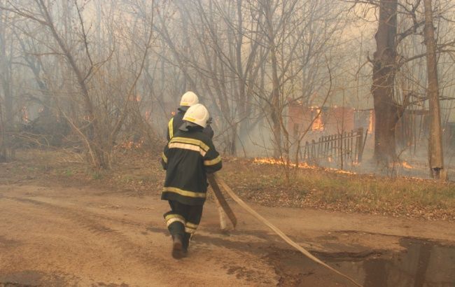 В Киеве появился мурал, посвященный пожарам в Украине: яркое фото