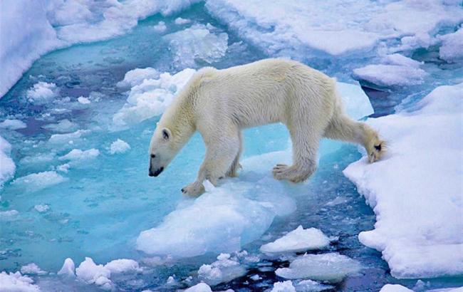 Росія презентувала в ООН заявку на розширення території в Арктиці