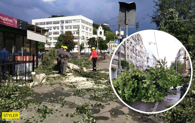 В Киеве сильный ветер повалил деревья в трех районах: фото последствий стихии