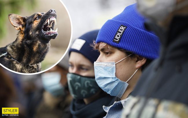 В Киеве в двух районах ввели карантин из-за бешенства: где именно