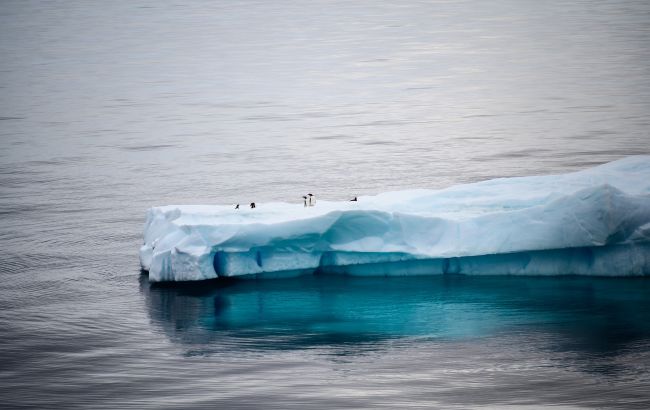 Растаял самый большой айсберг в мире: был звездой соцсетей
