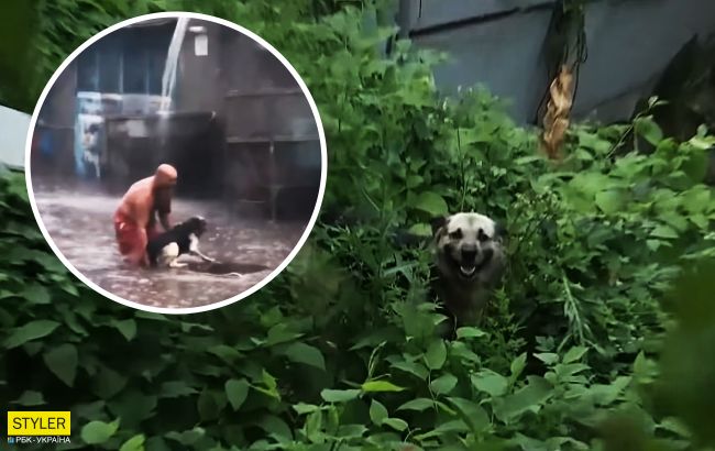 "Как я мог его оставить там?" Мужчина, спасший дворнягу от потопа в Киеве, объяснил свой поступок