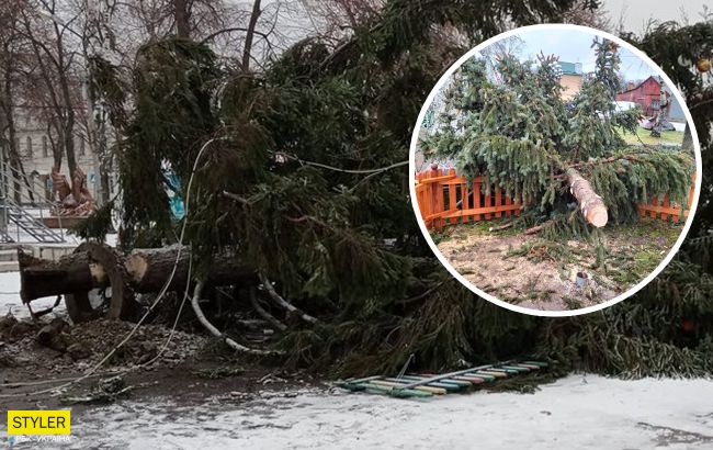 В Украине продолжается "елкопад": где успели упасть новогодние красавицы