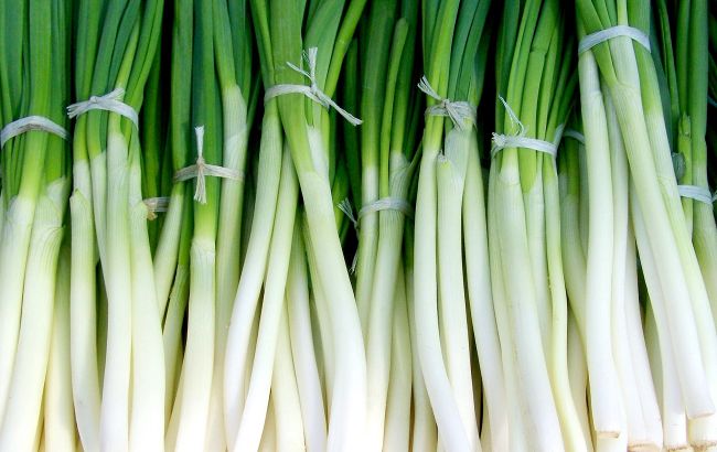 Всегда свежий к столу: как хранить зеленый лук зимой