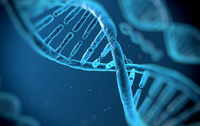 Украинские ученые обнаружили ген, нарушающий половое развитие человека