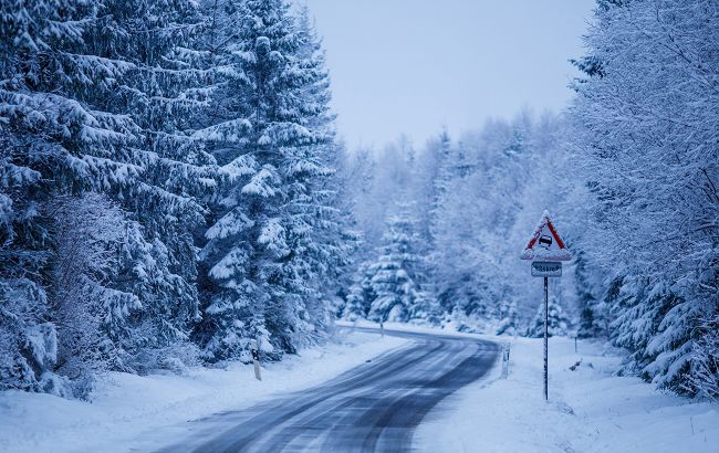 В Украину идет "собачий холод": когда ждать непогоду