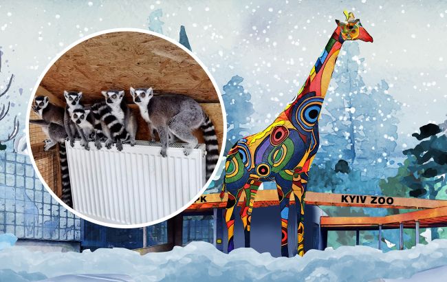 "Зоопарк евакуювати неможливо": як живуть екзотичні тварини під час війни в Україні (фото)