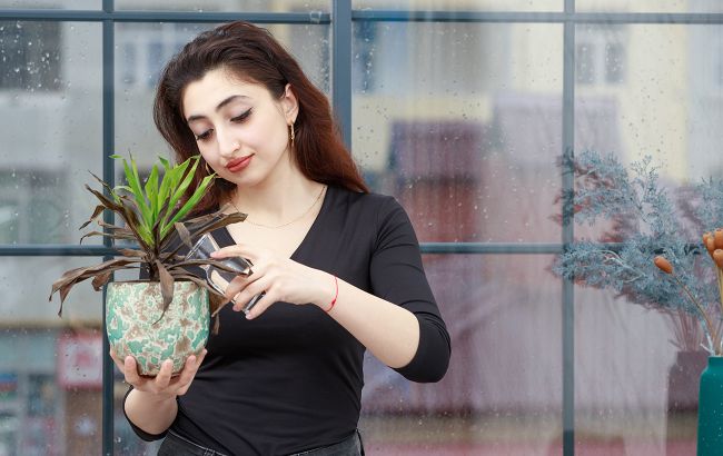 Рослини вміють видавати звуки, які чують тільки миші та метелики: відкриття вчених (відео)