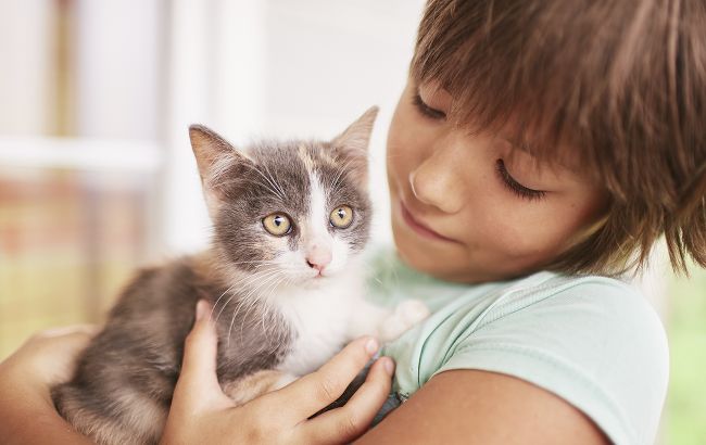 Как украинцам лучше всего называть котов: классные имена и клички